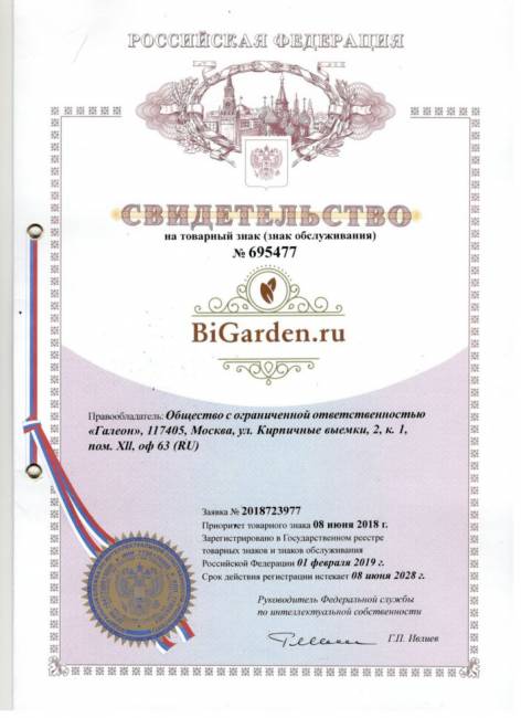 Кресло подвесное Easy White Зеленая подушка Кресло подвесное Easy White Зеленая подушка