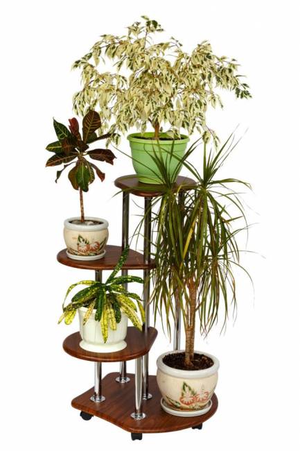 Подставка Калифорния Троечка, орех