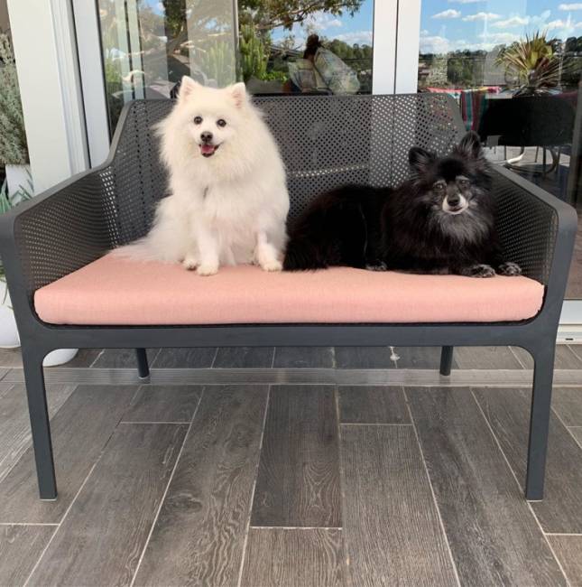 Диван пластиковый Net Bench антрацит 1160х700х860 мм Диван пластиковый Net Bench антрацит 1160х700х860 мм