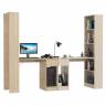Письменные столы Лайт 10.01 с ящиками и стеллажами цвет плэйн/сатин
